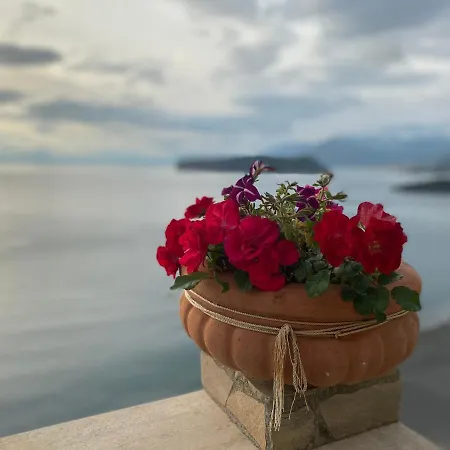 La Petra - Boutique 게스트하우스