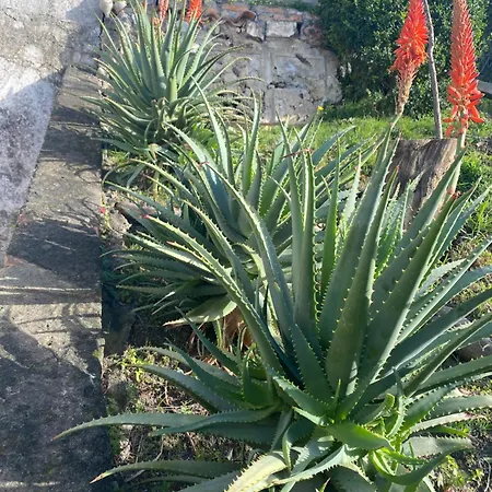 게스트하우스 La Petra - Boutique 4*