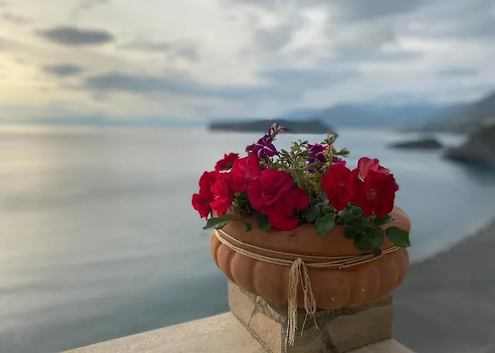 La Petra - Boutique 招待所